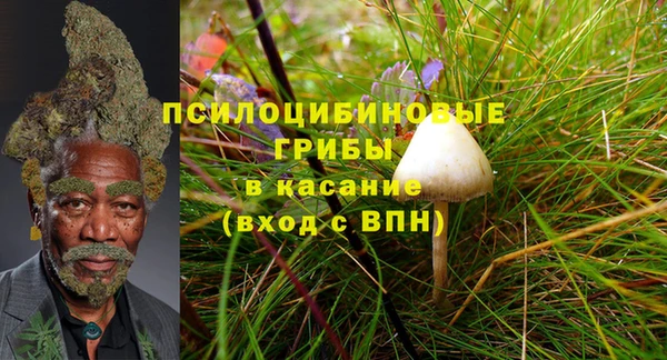 2c-b Алексеевка
