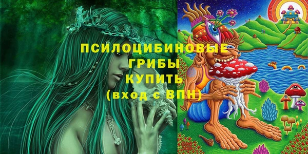 2c-b Алексеевка